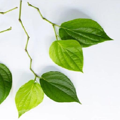 My First Blog&nbsp;Post